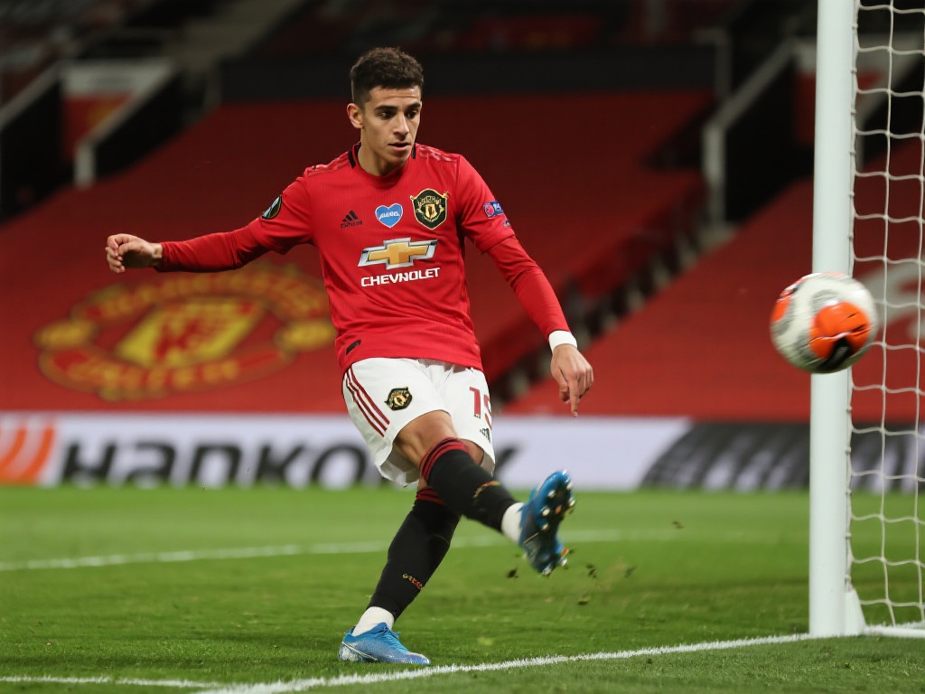 情与魅力 情与魅力